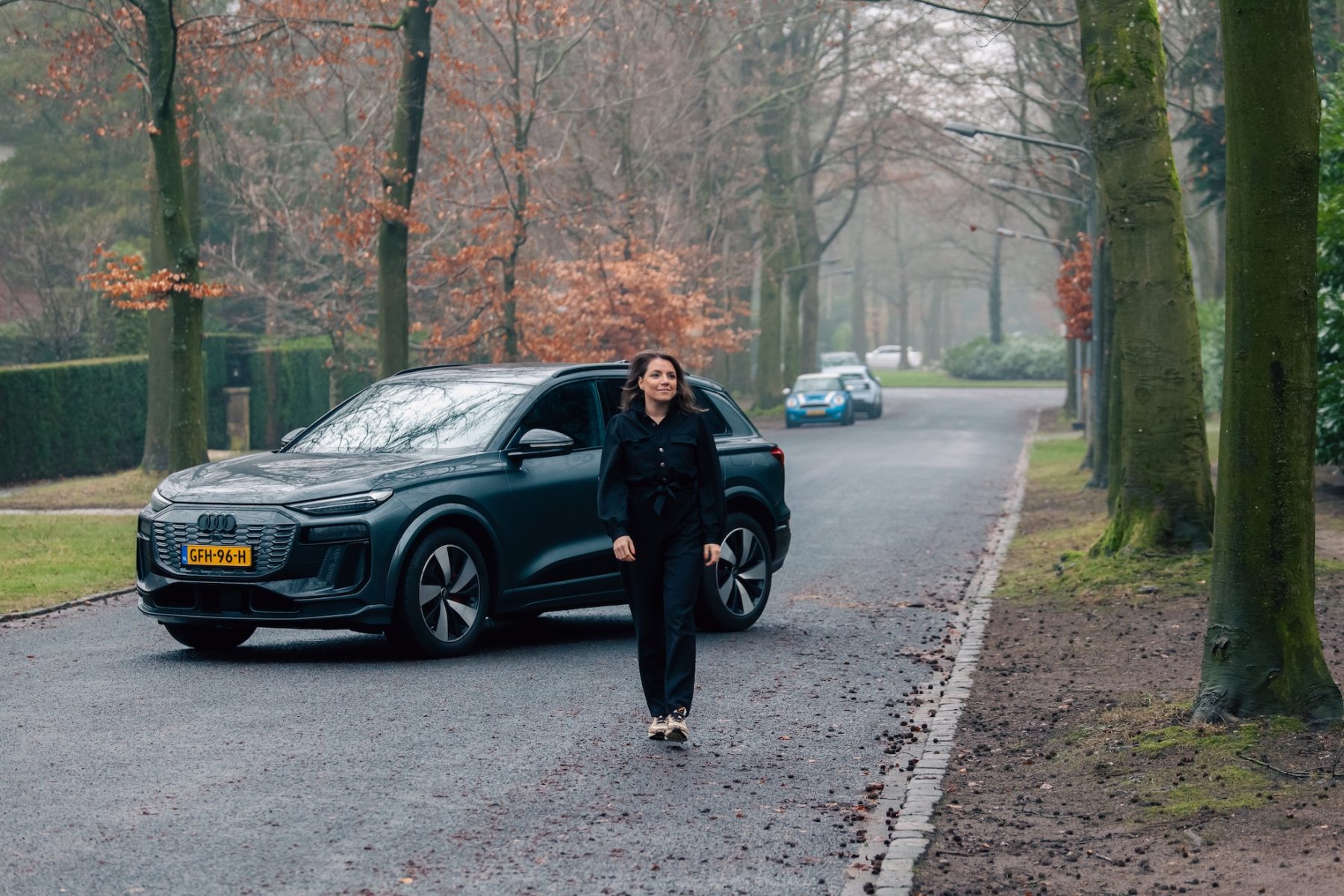 Audi Q6 e-tron header